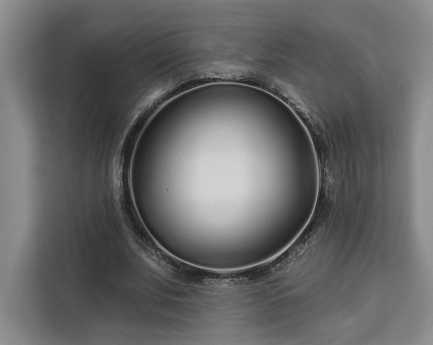 X0000112940679200908311449