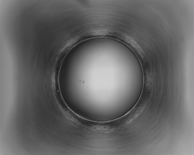 X0000112940681200908311449