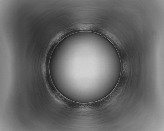 X0000112940682200908311449
