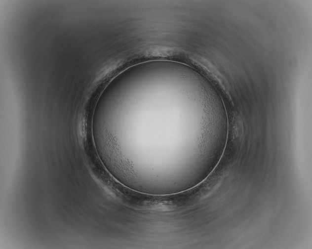 X0000112940683200908311449