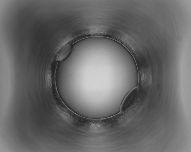 X0000112940684200908311449