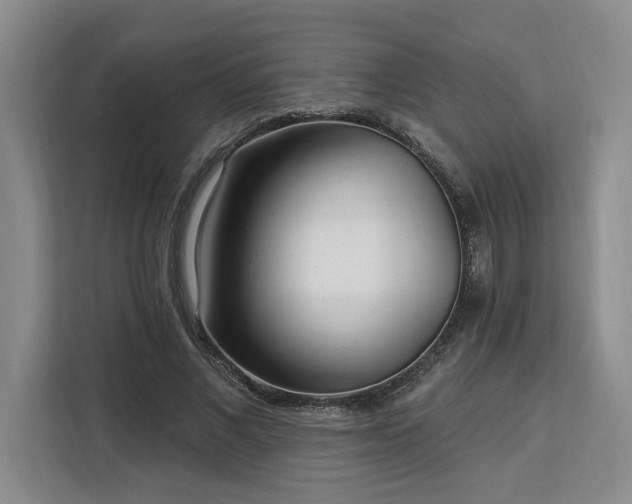 X0000112940685200908311449