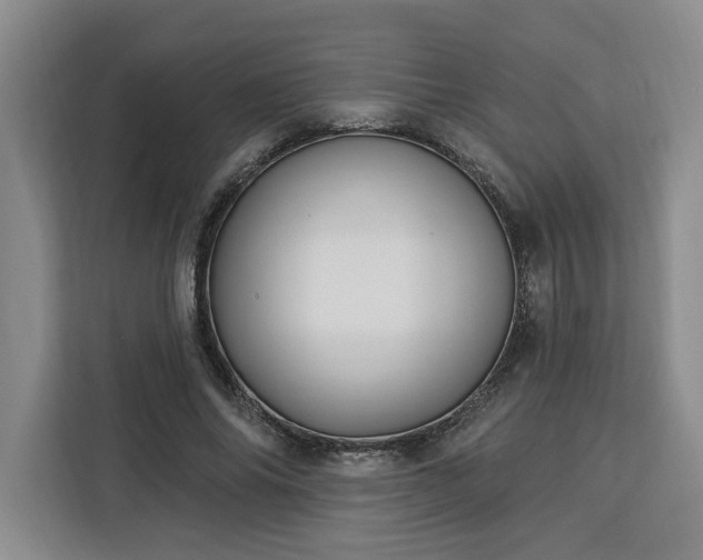 X0000112940686200908311449
