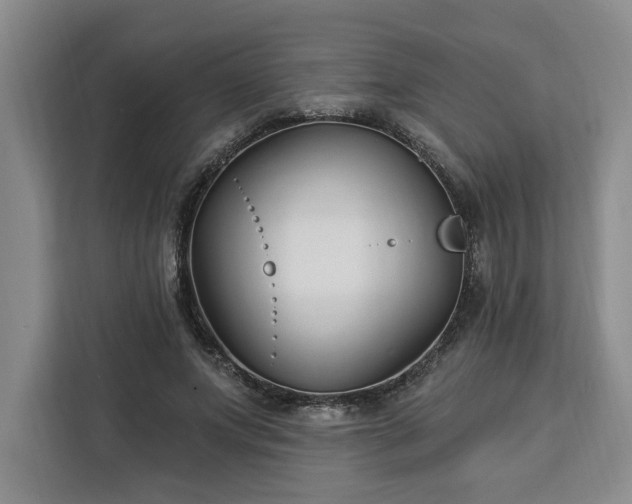 X0000112940687200908311449