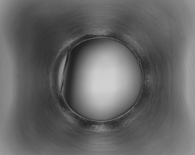 X0000112940688200908311449