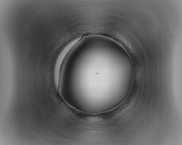 X0000112940689200908311449