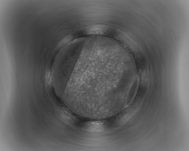 X0000112940692200908311449