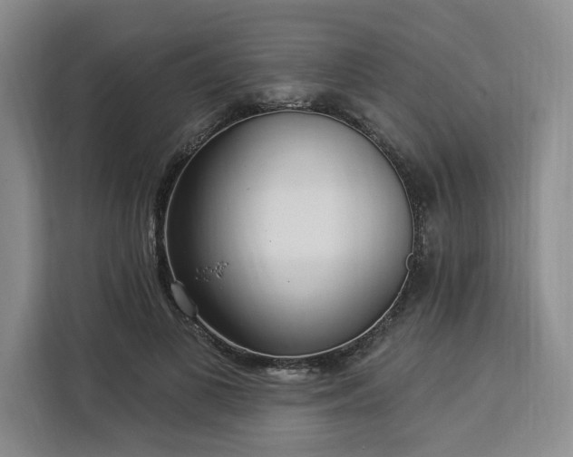 X0000112940693200908311449