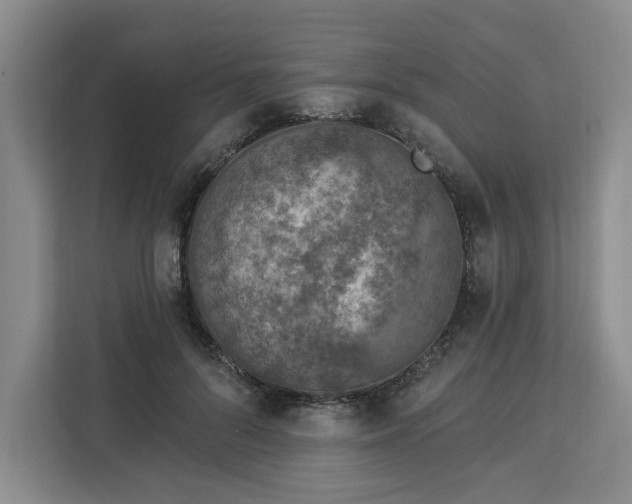 X0000112940696200908311449