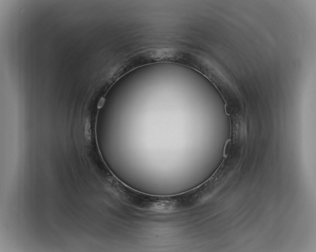 X0000112940700200908311449