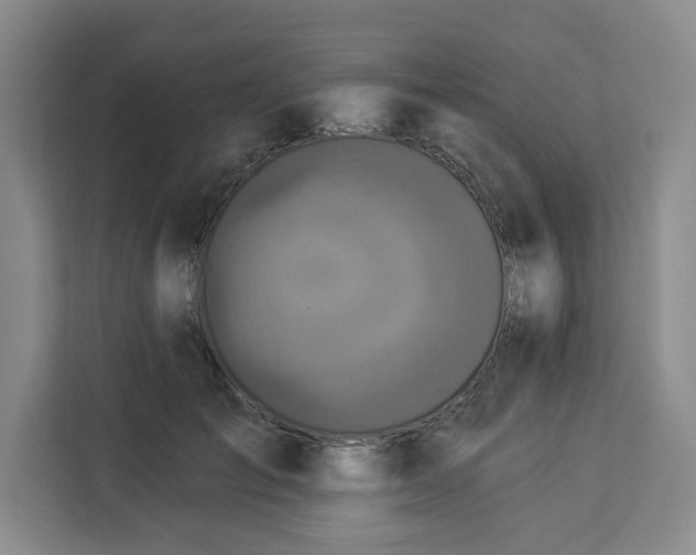 X0000112940701200908311449