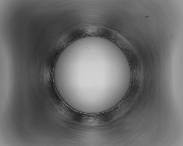 X0000112940702200908311449