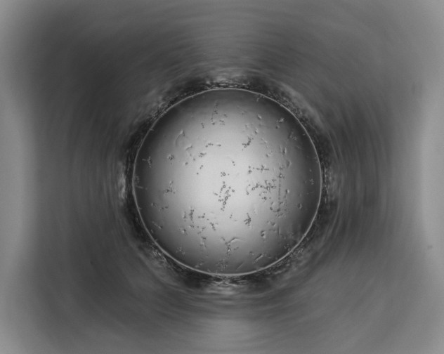 X0000112940703200908311449