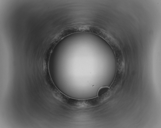 X0000112940704200908311449