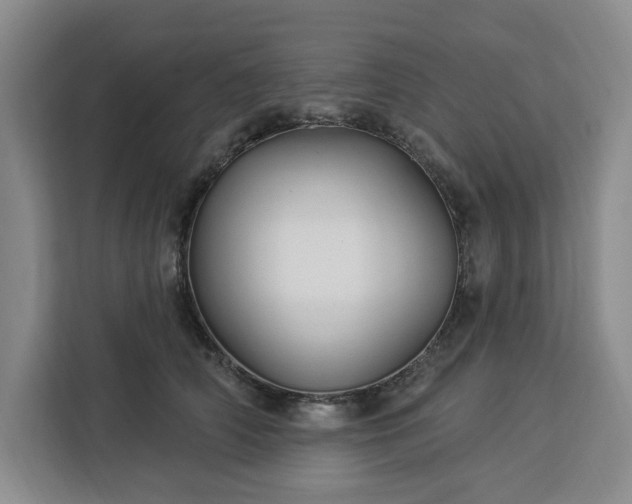 X0000112940706200908311449