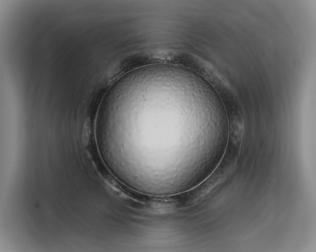X0000112940707200908311449