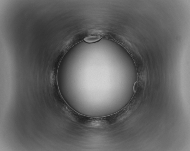 X0000112940708200908311449