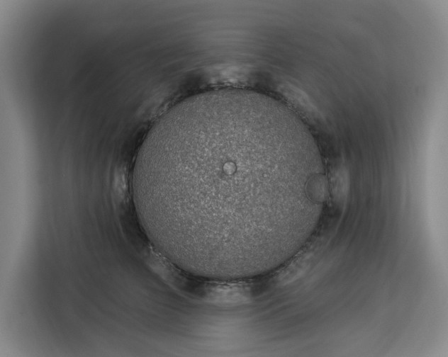 X0000112940709200908311449