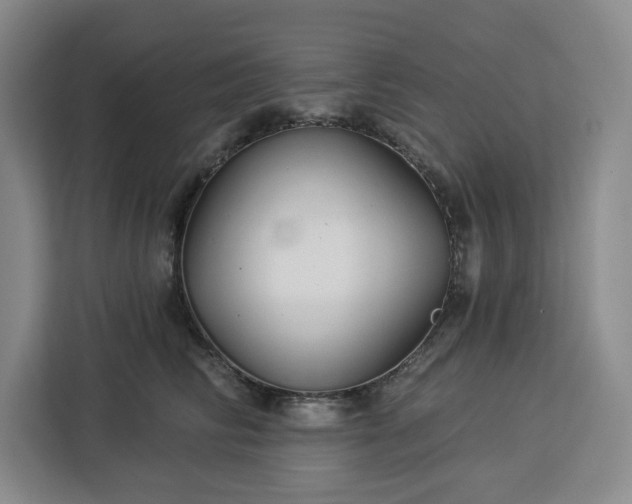 X0000112940710200908311449