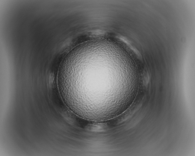 X0000112940711200908311449