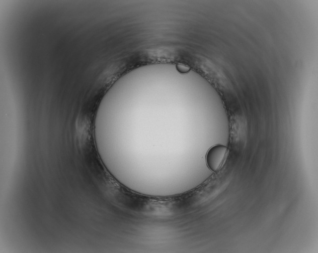 X0000112940713200908311449
