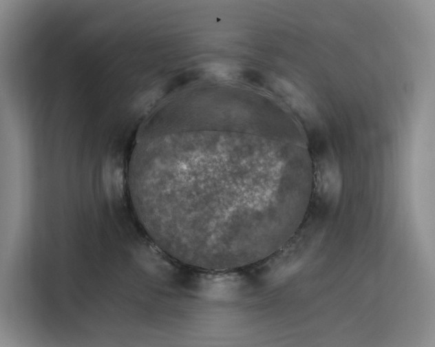 X0000112940716200908311449