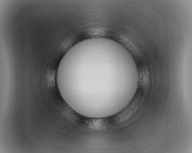 X0000112940717200908311449