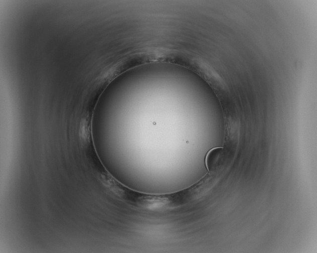 X0000112940719200908311449
