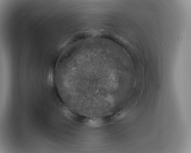 X0000112940720200908311449