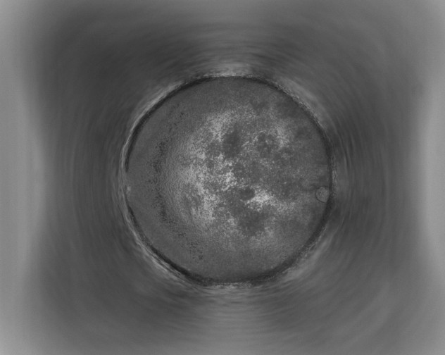 X0000112940721200908311448