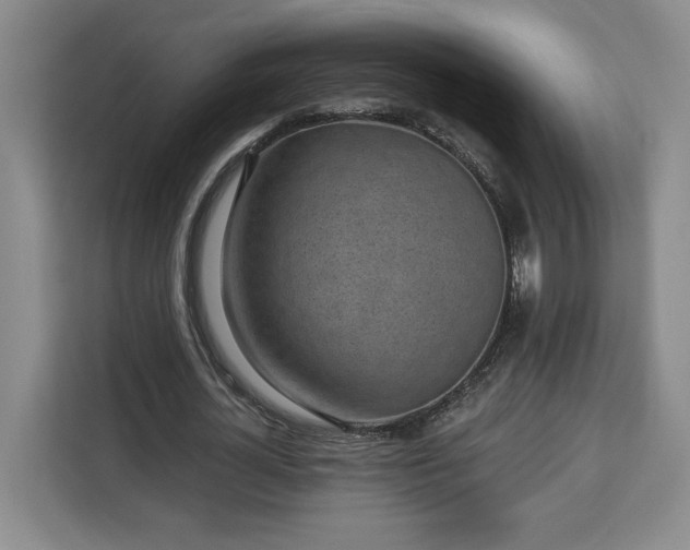 X0000112940724200908311448