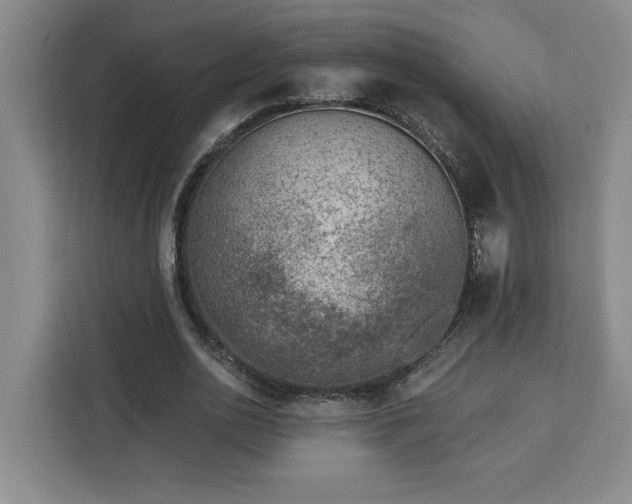 X0000112940726200908311448