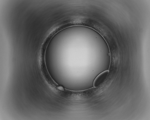 X0000112940728200908311448
