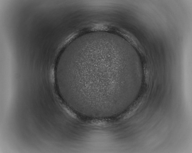 X0000112940729200908311448