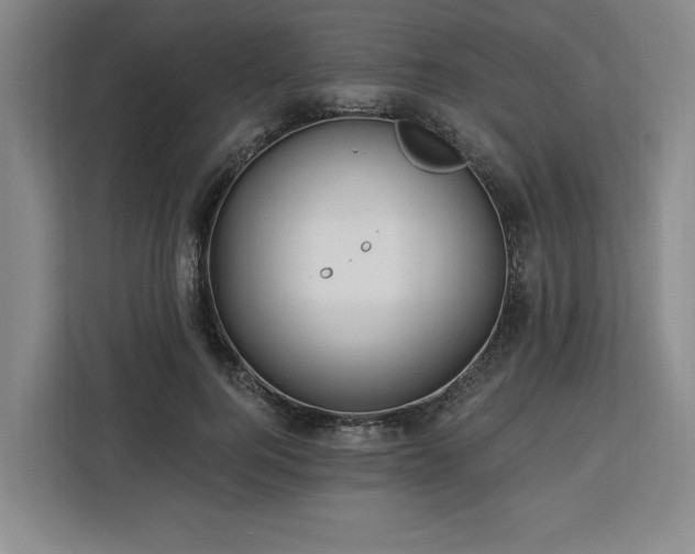 X0000112940744200908311449