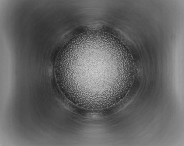 X0000112940745200908311449