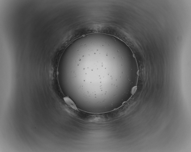 X0000112940750200908311449