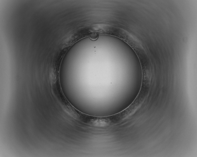 X0000112940751200908311449