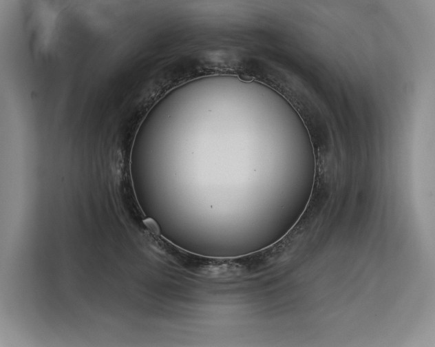 X0000112940752200908311449