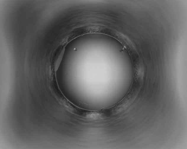 X0000112940759200908311449