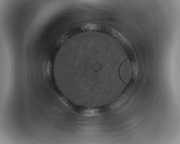 X0000112940760200908311449