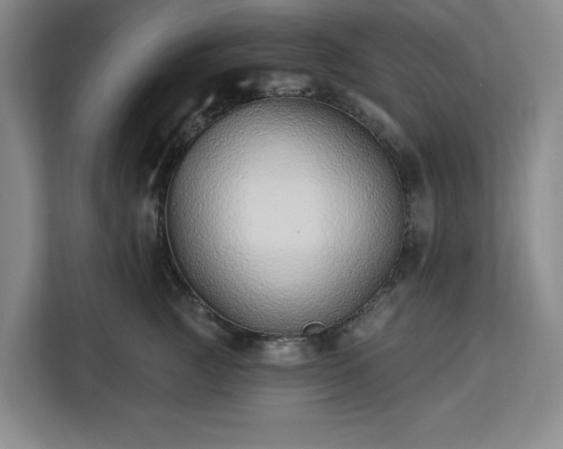 X0000112940761200908311449