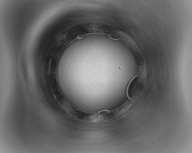 X0000112940762200908311449