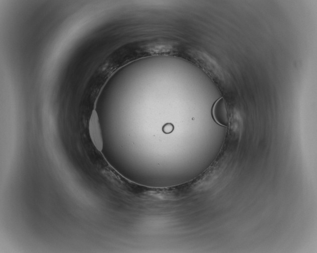 X0000112940763200908311449