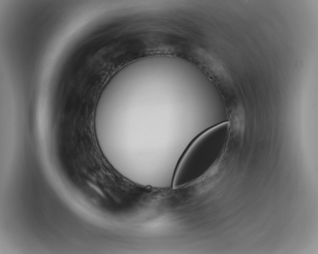 X0000112940764200908311449