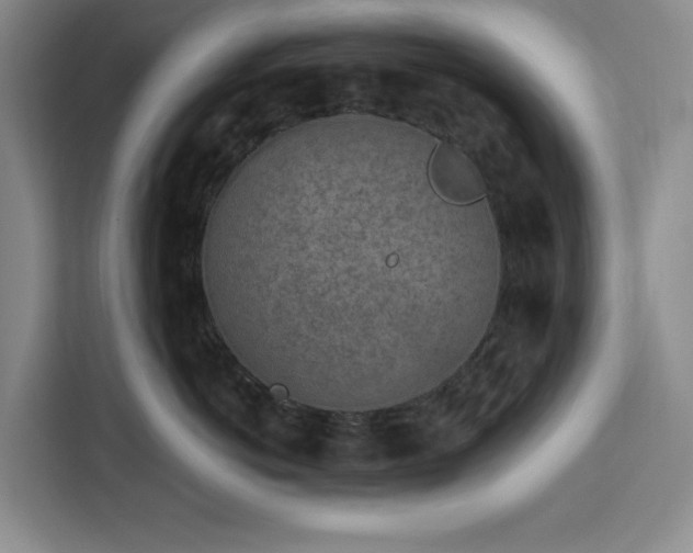 X0000112940766200908311449