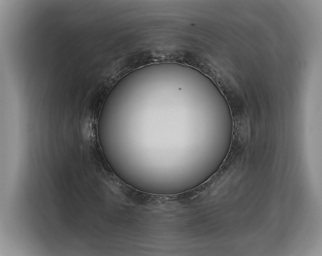 X0000112940770200908311448