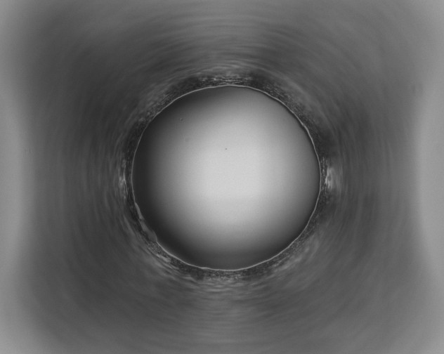 X0000112940771200908311448