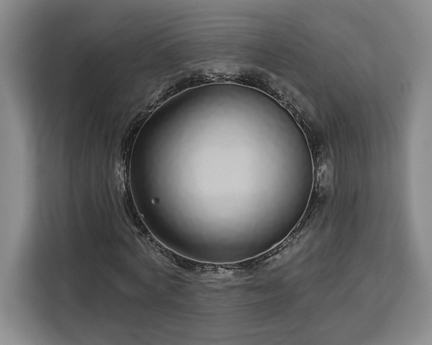 X0000112940772200908311448