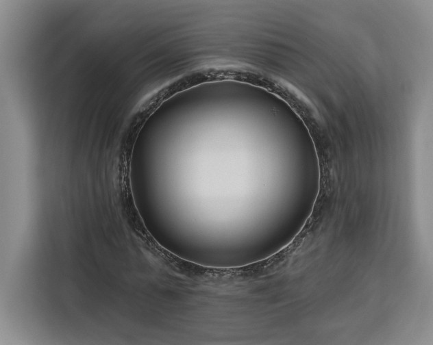 X0000112940775200908311448
